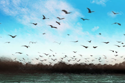 2019年世界环境日中国主题 全球空气污染建议 2019年世界环境日中国主题 全球空气污染建议