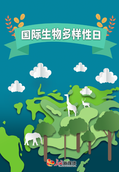 国际生物多样性日 | 你愿意守护它们吗?