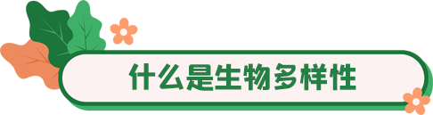 国际生物多样性日 | 你愿意守护它们吗?_fororder_2