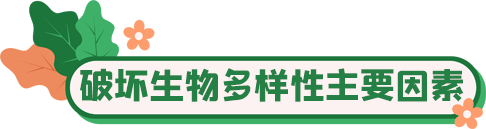 国际生物多样性日 | 你愿意守护它们吗?_fororder_40