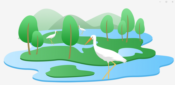 国际生物多样性日 | 你愿意守护它们吗?_fororder_50