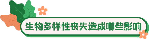 国际生物多样性日 | 你愿意守护它们吗?_fororder_6