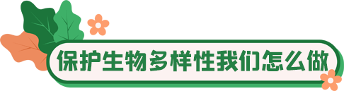 国际生物多样性日 | 你愿意守护它们吗?_fororder_7