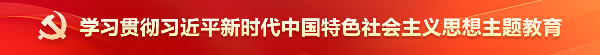 学习贯彻习近平新时代中国特色社会主义思想主题教育