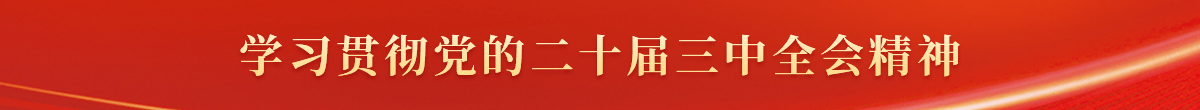 学习贯彻党的二十届三中全会精神
