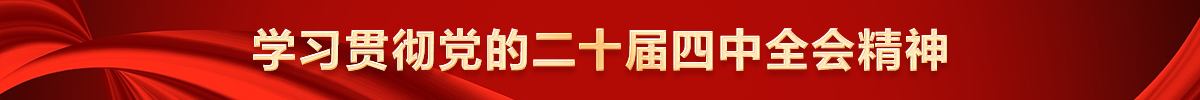 学习贯彻党的二十届四中全会精神